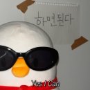 다가온동물병원 | 반려동물 행동지도사 반려견 행동지도사 2급 합격 후기 (필기/실기)