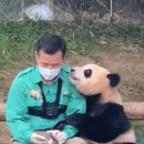 마곡랜드공인중개사사무소 이미지