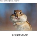 오움
