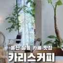 카리스커피 이미지