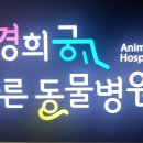 경희궁바른동물병원 이미지