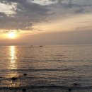 아모렉스 이미지