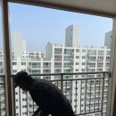 송학리젠시빌아파트 이미지