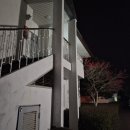 라온나라 | 제주 골프여행 숙소, 라온CC 골프텔, 34평 4인 후기 (먼나무 에피소드)내돈내산