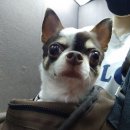 킴스동물병원 이미지