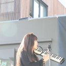 우물안 개구리 콘서트 이미지