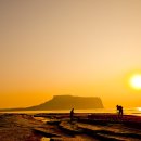 성산포사랑 이미지