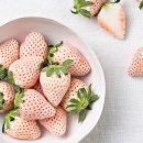 세라농장(2농장) 이미지