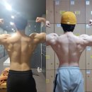 트박짐 네이버블로그
