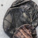 신봉 낚시터 이미지