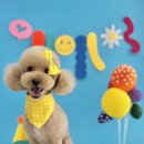 그루밍차차 이미지