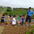 시우농장 이미지