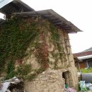 길안초등학교 이미지