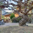 한옥목장 이미지