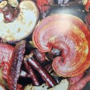 ＜제천 약초＞항암 효과가 뛰어난 현대인의 불로초...제천 영지버섯 이미지