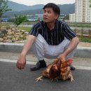 삼보농장 이미지