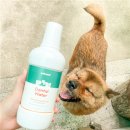 로바니코 이미지