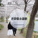 동백호수공원(광장) | 은파호수공원 벚꽃이 만개한 군산 걷기 좋은 길 지금 봄산책 좋아요