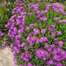 현대자동차신태인점 이미지