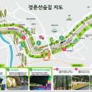 한내도서관 이미지