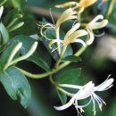 구월중학교 이미지