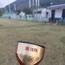 알바트로스 | 요즘 대세 1879 파크골프채 후기! 이걸로 홀인원, 알바트로스까지 한 썰