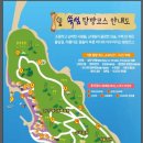 힐링파크쑥섬쑥섬