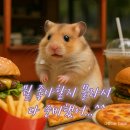모아푸드 | 핫한 푸드팝업 다 모아둔 수원 스타필드 먹거리 구경