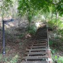 여강길(7코스 부처울습지길) 이미지