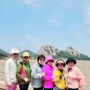 소풍 이미지