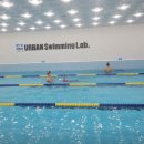 어반수영장봉선점 이미지