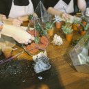 반려식물(홈가드닝) 이미지