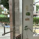 중앙1로56번길 | 평택역 식물 감성 느좋 카페 포캡커피 내돈내산 메뉴 디저트 데이트