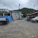 성원마늘약선요리 | 단양마늘정식맛집 성원마늘약선요리 후기