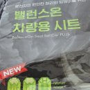 커피방석 | 장거리운전 허리통증 엉덩이배김 있다면? 밸런스온 기능성 차량용 방석 후기 여름용 통풍 시트쿠션 추천