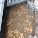 폭스 PC방 이미지