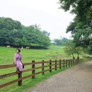 남진농장 이미지