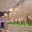 하노이별 이미지