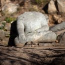 경주남산한의원 이미지