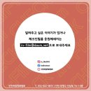 조은빛 기획 이미지