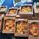 주희네수산 이미지