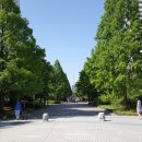 강선공원 이미지