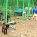 애련농장 이미지