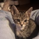 유림-1111 이미지