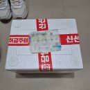 생방송투데이 인천 황홀스레 마카롱 택배 내돈내산 후기