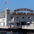 세븐피시 이미지