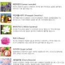 폴폴스토어 이미지