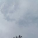 남대천R 이미지