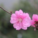 아이돌봄전문가 이미지