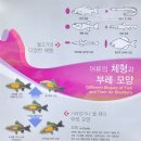 자연마당생태학습관2 | 경기도 양평 가볼만한곳 아이와 1박2일여행 민물고기 생태학습관